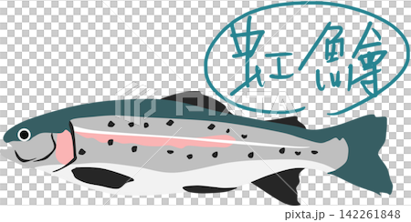 Rainbow trout illustration Rainbow trout illustration 142261848