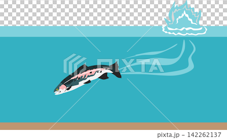 Fishing illustration Fishing illustration 142262137