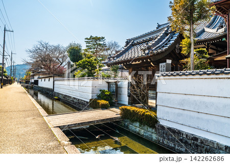 【重要伝統的建造物群保存地区】五個荘金堂　寺前・鯉通りの春の風景3　滋賀県東近江市 142262686