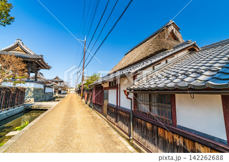 【重要伝統的建造物群保存地区】五個荘金堂　寺前・鯉通りの春の風景1　滋賀県東近江市 142262688