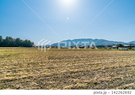 【重要伝統的建造物群保存地区】五個荘金堂　春の田園風景と集落と繖山遠望2　滋賀県東近江市 142262692