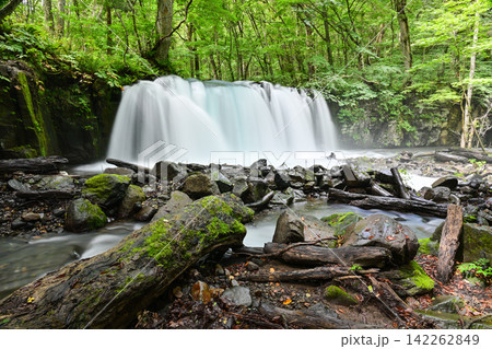 夏の奥入瀬渓流・銚子大滝 夏の奥入瀬渓流・銚子大滝 142262849