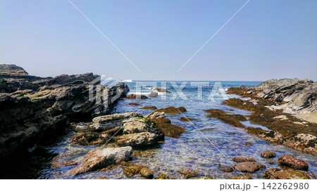 三浦半島の澄み渡る美しい海岸と磯の岩場 三浦半島の澄み渡る美しい海岸と磯の岩場 142262980