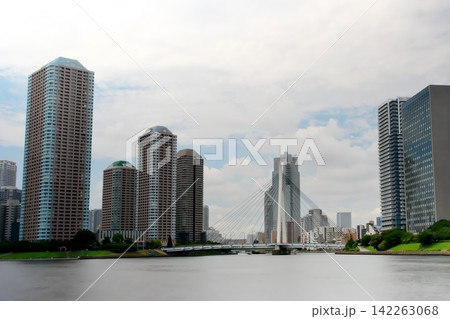 東京の都市風景 隅田川に架かる中央大橋と佃島のタワーマンション群 東京の都市風景 隅田川に架かる中央大橋と佃島のタワーマンション群 142263068