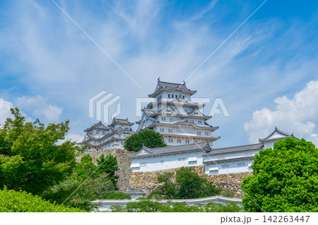 兵庫県姫路市 世界文化遺産 夏の姫路城 兵庫県姫路市 世界文化遺産 夏の姫路城 142263447