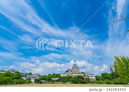 兵庫県姫路市 世界文化遺産 夏の姫路城 兵庫県姫路市 世界文化遺産 夏の姫路城 142263450