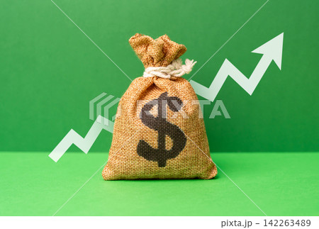 The dollar is a money bag and a growth arrow. Increased profits, budget and fund growth. Revenue and profit. Capital surplus. The dollar is a money bag and a growth arrow. Increased profits, budget and fund growth. Revenue and profit. Capital surplus. 142263489