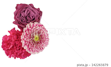 ガーベラ・カーネーション・薔薇の花素材　背景透過　マクロ 142263879