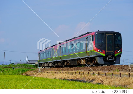 新緑の中を行くJR四国2700系 特急うずしお 新緑の中を行くJR四国2700系 特急うずしお 142263999