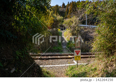 線路と下野熊埜社の参道の風景(豊後大野市) 線路と下野熊埜社の参道の風景(豊後大野市) 142264150