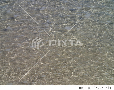 伊豆の海 伊豆の海 142264714