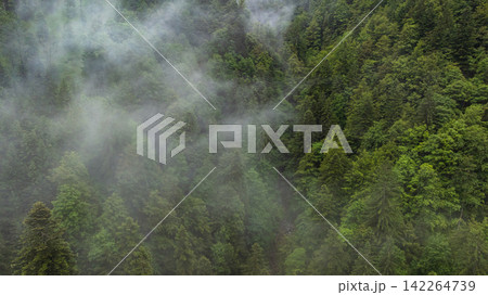 Aerial View Austrian Slovenian Border Alps Mountain Range Ridge Aerial View Austrian Slovenian Border Alps Mountain Range Ridge 142264739