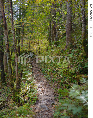 Europe summer travel to Slovenian Alps Europe summer travel to Slovenian Alps 142265124