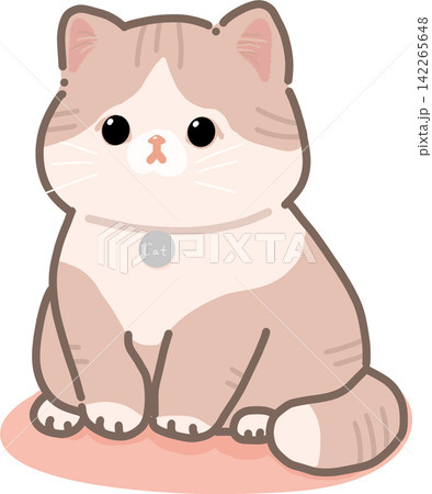 Pink Cat Sitting on Cushion 142265648