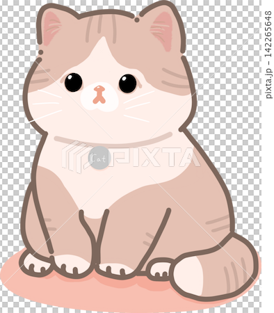 Pink Cat Sitting on Cushion Pink Cat Sitting on Cushion 142265648