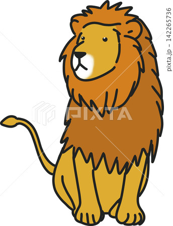 Sitting Male Lion Sitting Male Lion 142265736