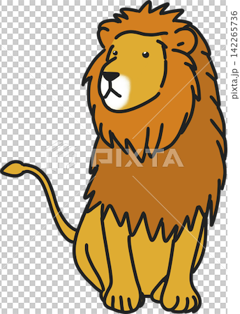Sitting Male Lion Sitting Male Lion 142265736