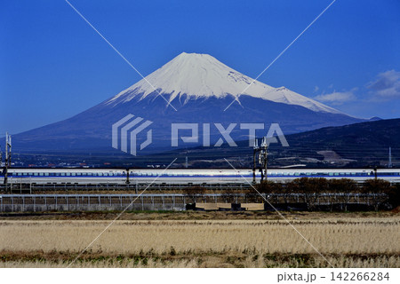 2008年 富士山をバックに走る東海道新幹線500系のぞみ 2008年 富士山をバックに走る東海道新幹線500系のぞみ 142266284