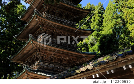 緑に囲まれた五重塔 緑に囲まれた五重塔 142266659