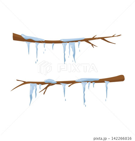 Two tree branches with melting icicles and snow winter nature element isolated on white 142266816