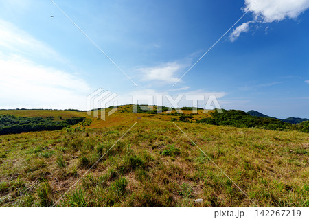 青空のもと広がる草原 青空のもと広がる草原 142267219