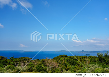 青空とヤシの木が広がる南国風の海岸公園 青空とヤシの木が広がる南国風の海岸公園 142267245