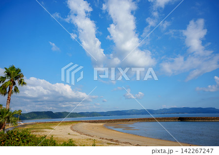 青空とヤシの木が広がる南国風の海岸公園 青空とヤシの木が広がる南国風の海岸公園 142267247