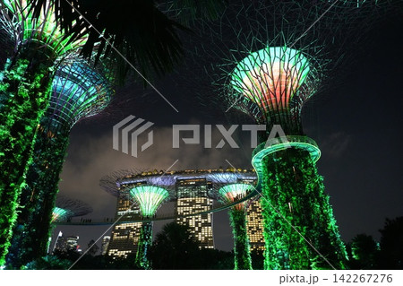 Gardens by the Bay Singapore at Night Beautiful View Gardens by the Bay Singapore at Night Beautiful View 142267276