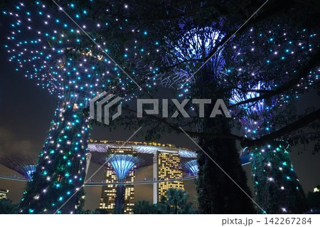 Gardens by the Bay Singapore at Night Spectacular Gardens by the Bay Singapore at Night Spectacular 142267284