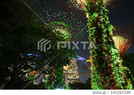 Gardens by the Bay Supertrees at Night Singapore Travel Gardens by the Bay Supertrees at Night Singapore Travel 142267286