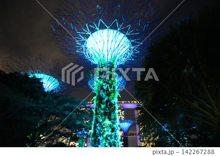 Gardens by the Bay Supertrees Singapore at Night Gardens by the Bay Supertrees Singapore at Night 142267288