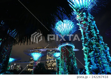 Gardens by the Bay Singapore Night Photography Supertrees Gardens by the Bay Singapore Night Photography Supertrees 142267418