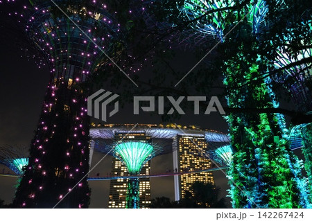 Gardens by the Bay Singapore Supertrees at Night Gardens by the Bay Singapore Supertrees at Night 142267424