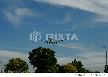 Airplane Landing Above Tropical Trees Clear Sky Airplane Landing Above Tropical Trees Clear Sky 142267783