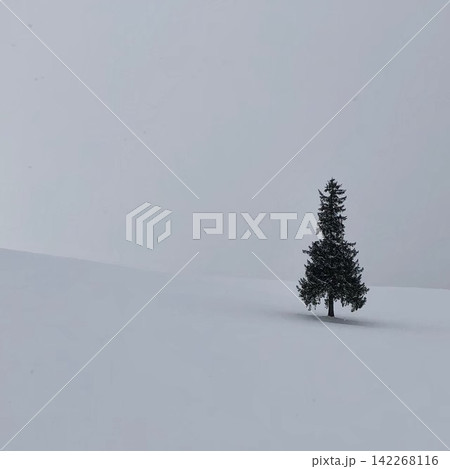 広大な雪原に一本だけ立つ木の冬景色 広大な雪原に一本だけ立つ木の冬景色 142268116