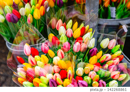 Colorful tulips for sale at a vibrant market. 142268861