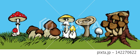 Vector drawing. Harvest of different mushrooms 142270622