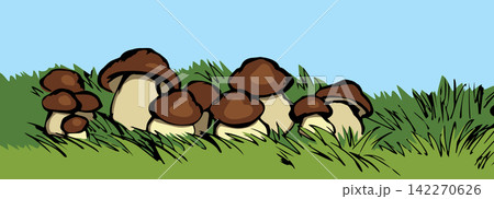 Vector drawing. Harvest of mushrooms Vector drawing. Harvest of mushrooms 142270626
