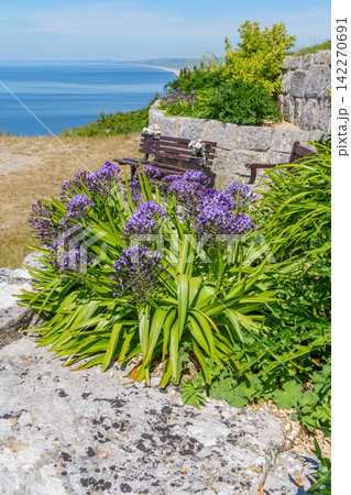 the isle of portland at the jurassic coast 142270691