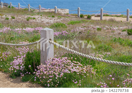 the isle of portland at the jurassic coast the isle of portland at the jurassic coast 142270738