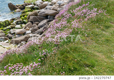 the isle of portland at the jurassic coast 142270747