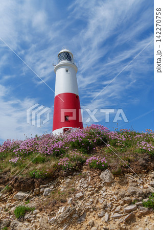 the jurassic coast in england 142270758