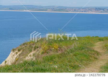 the jurassic coast in england 142270776
