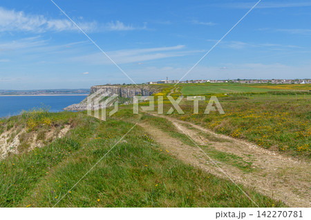 the jurassic coast in england 142270781