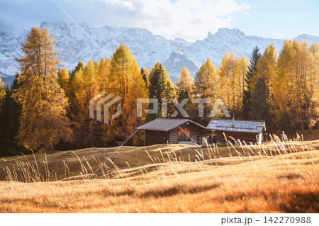Mountain huts surrounded by golden larch trees Mountain huts surrounded by golden larch trees 142270988