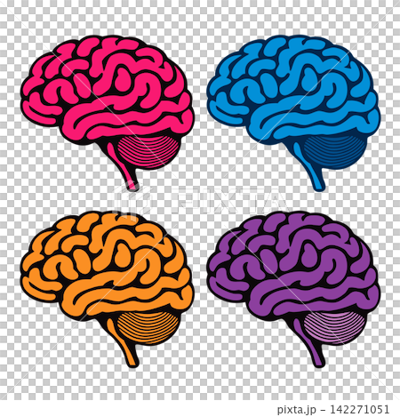 The image shows four stylized vector illustrations of the human brain in side view The image shows four stylized vector illustrations of the human brain in side view 142271051