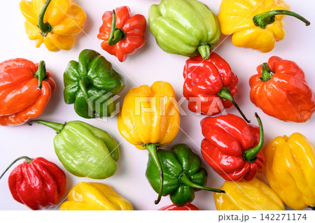 Mixed habanero peppers red yellow green scattered on white background Mixed habanero peppers red yellow green scattered on white background 142271174