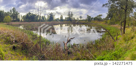 A small water reservoir in the Yarramundi Reserve in the Hawkesbury A small water reservoir in the Yarramundi Reserve in the Hawkesbury 142271475