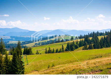 coniferous forest in Ukrainian mountains on a sunny day. Carpathian nature landscape with peaceful woodland in summer. green slopes of Borzhava range coniferous forest in Ukrainian mountains on a sunny day. Carpathian nature landscape with peaceful woodland in summer. green slopes of Borzhava range 142271879