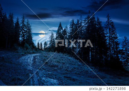 coniferous forest in Ukrainian mountains at night. full moon over Carpathian nature landscape with peaceful woodland in summer. green slopes of Borzhava range. mysterious fantasy 142271898